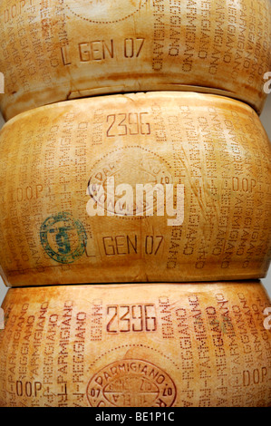 Séries de Parmesan Parmigiano Reggiano Banque D'Images