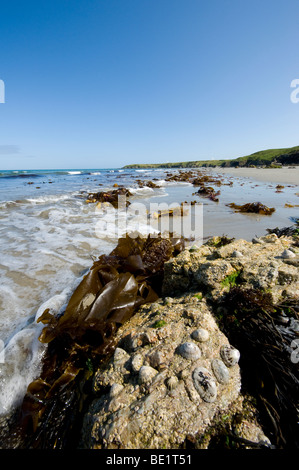 Vaste étendue de plage vide sur la péninsule de Llyn Penrhyn, au Pays de Galles Banque D'Images