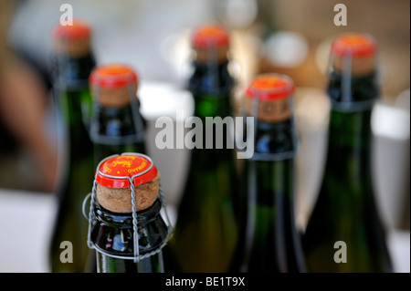 Câblé, bouteilles de boissons pétillantes bouchonné Banque D'Images