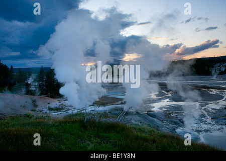 Norris Geyser Basin dans le Parc National de Yellowstone, Wyoming Banque D'Images
