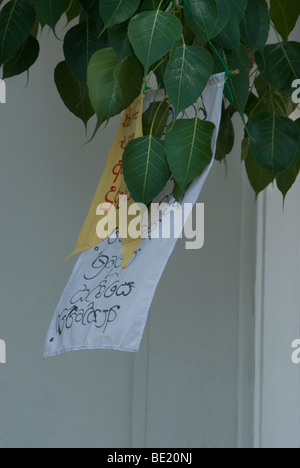 Les drapeaux de prières ci-joint les feuilles d'arbres Bodi écrit en script tamoul Banque D'Images