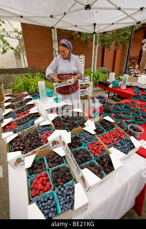 Femme vendant des baies à un marché de fermiers dans la Grande Maine Banque D'Images