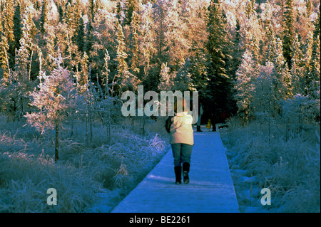 Liard River Hot Springs Provincial Park, le nord de la Colombie-Britannique, British Columbia, Canada, femme marche sur Boardwalk à Hot Spring, Hiver Banque D'Images