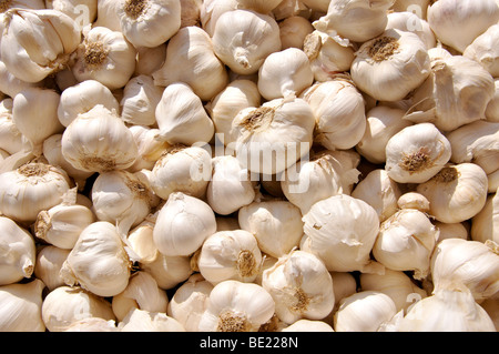 Gousses d'ail, marché le samedi, Ostuni, Brindisi Province, Région des Pouilles, Italie Banque D'Images