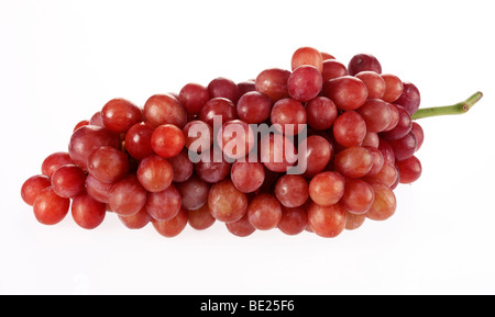 Bouquet de raisins rouges Banque D'Images