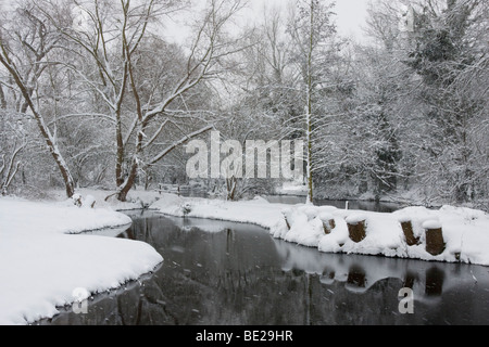 Arbres couverts de neige en hiver petit étang surround Banque D'Images