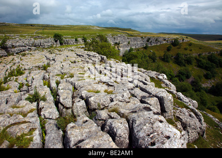 Malham Cove Yorkshire Dales England UK Banque D'Images