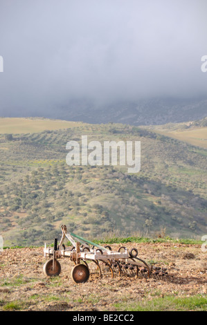 Image de charrue Banque D'Images