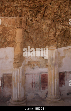 Israël, désert de Judée, Masada, fresques au Palais du Nord Banque D'Images