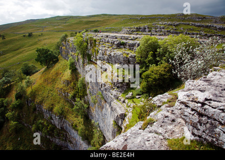 Malham Cove Yorkshire Dales England UK Banque D'Images