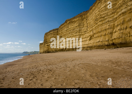 La plage et les falaises à Burton Bradstock sur la côte jurassique du Dorset, Angleterre Banque D'Images