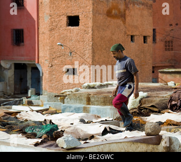 L'homme travaillant dans l'Arabe des tanneries, Marrakech, Maroc Banque D'Images