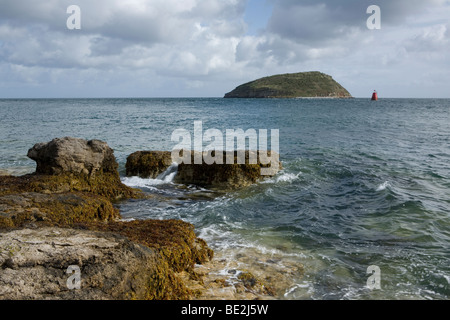 L'île de macareux sur Anglesey, Pays de Galles, Royaume-Uni Banque D'Images