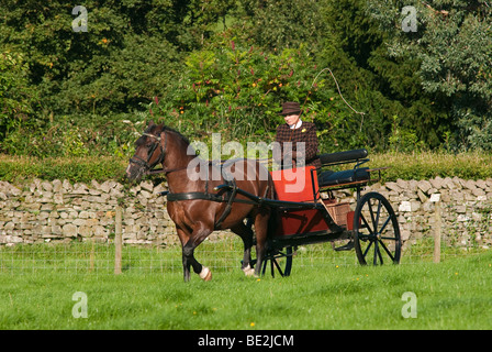 Dame chauffeur à cheval et un chariot Banque D'Images