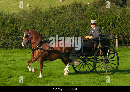L'homme à chapeau haut-de-cheval et un chariot roulant Banque D'Images