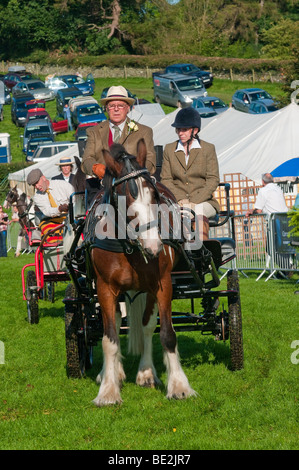 Cheval et un chariot roulant à salon de l'agriculture du comté de Westmorland Banque D'Images