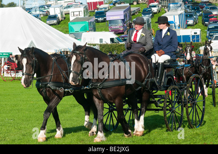 Cheval et un chariot roulant à salon de l'agriculture du comté de Westmorland Banque D'Images