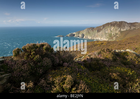 Gogarth & North Bay, pile sur l'île d'Anglesey, au Pays de Galles, Royaume-Uni Banque D'Images