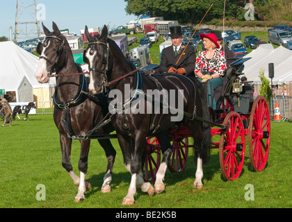 Cheval et un chariot roulant à salon de l'agriculture du comté de Westmorland Banque D'Images