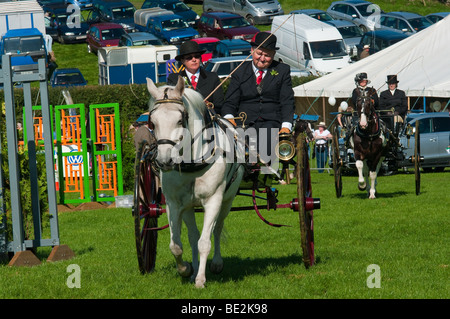 Cheval et un chariot roulant à salon de l'agriculture du comté de Westmorland Banque D'Images