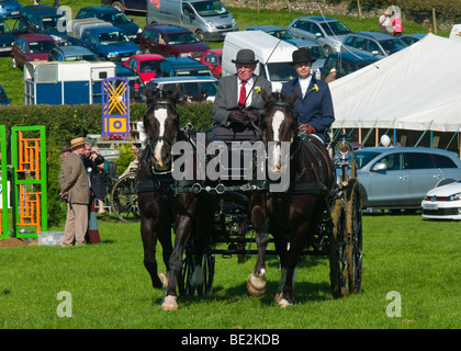 Cheval et chariot à Westmorland County Agricultural Show. Banque D'Images