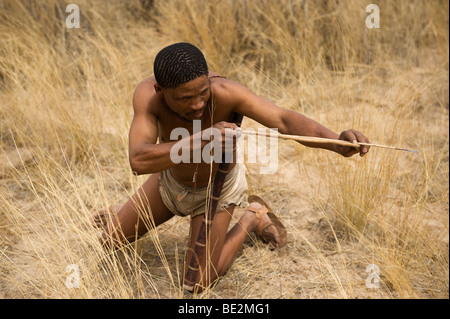 Bushman Naro (SAN) à la chasse avec arc et flèche, Central Kalahari, Botswana Banque D'Images