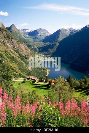 Fjord de Geiranger, Norvège, Scandinavie, Europe Banque D'Images