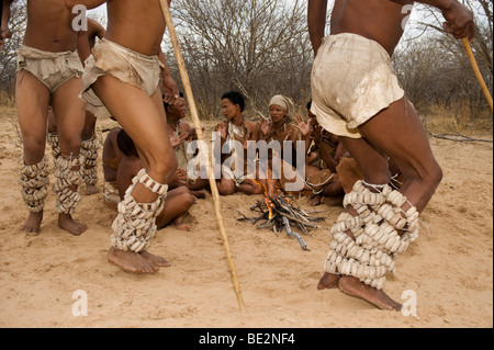 Bushman Naro (San) Danse, Central Kalahari, Botswana Banque D'Images