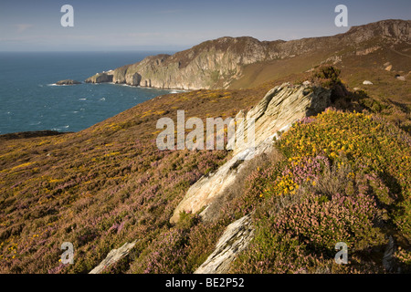 Gogarth & North Bay, pile sur l'île d'Anglesey, au Pays de Galles, Royaume-Uni Banque D'Images