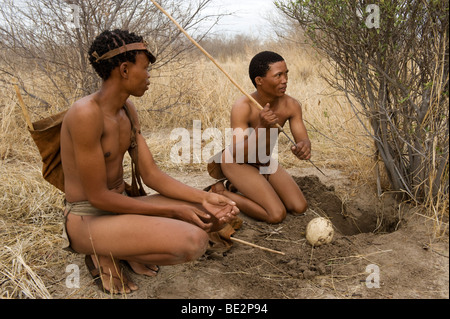 Bushman Naro (San) diggung d'un œuf d'autruche rempli avec de l'eau gardé au frais sous terre, Central Kalahari, Botswana Banque D'Images