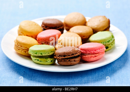 Macaron cookies multicolores frais servis sur une plaque Banque D'Images