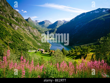 Fjord de Geiranger, Norvège, Scandinavie, Europe Banque D'Images