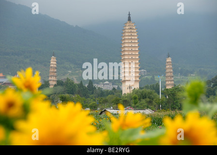 Tours bouddhistes antiques, tournesols, trois pagodes, Dali, Yunnan Province, République populaire de Chine, l'Asie Banque D'Images