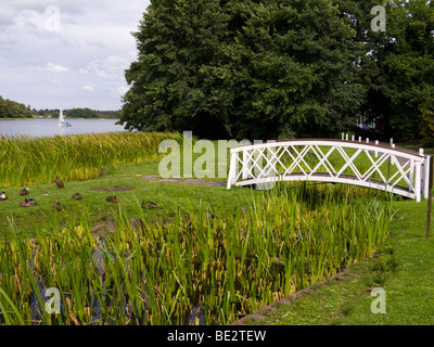 Petit pont à Frensham Great Pond. Churt, près de Farnham, Surrey. UK. Banque D'Images