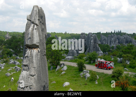 Site du patrimoine mondial de l'UNESCO, le tourisme, les touristes chinois dans les voitures électriques, des rochers comme des sculptures, la topographie karstique, Shilin Stone F Banque D'Images