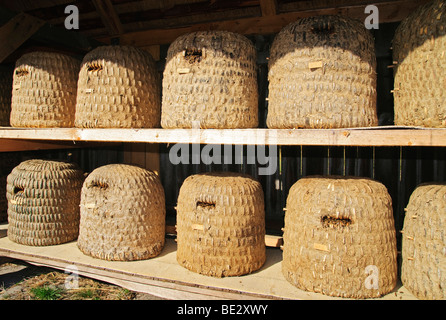 Les ruches traditionnelles dans une clôture d'abeilles près de Undeloh, Lueneburg Heath Nature Park, Basse-Saxe, Allemagne, Europe Banque D'Images