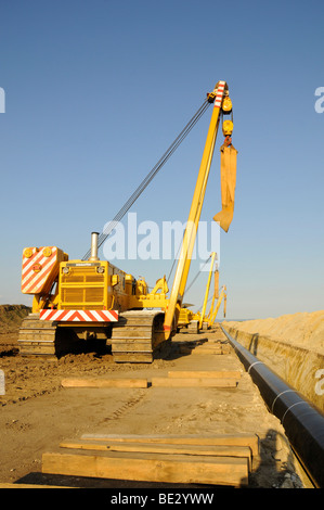 Machine de construction pour la pose d'un pipe-line, Marchfeld, Basse Autriche, Autriche, Europe Banque D'Images