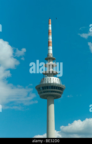 Tour de télécommunication, 212,8 m, monument moderne de la ville de Mannheim, Bade-Wurtemberg, Allemagne, Europe Banque D'Images