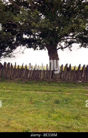 Un vieux mur de pierres sèches cornish sépare deux champs verts Banque D'Images