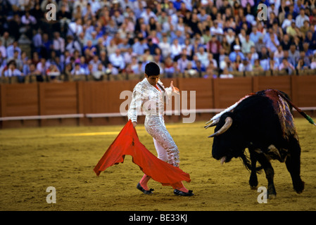 Corrida à la Plaza de Toros, Séville, Andalousie, Espagne, Europe Banque D'Images