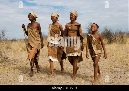 Bushman Naro (San) Femmes marchant, Central Kalahari, Botswana Banque D'Images