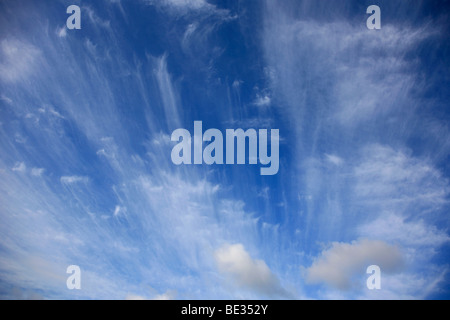 Des nuages cirrus Uncinus dans Deep blue sky polarisée Banque D'Images