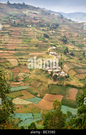 Paysage le long de la route entre Kisoro et Muko dans le sud de l'Ouganda. Banque D'Images