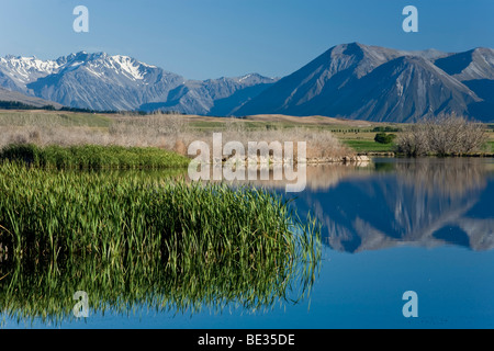 Réflexions de l'eau sur les rives du lac de Maoris dans la lumière du matin, l'île du Sud, Nouvelle-Zélande Banque D'Images