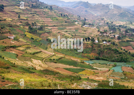 Paysage le long de la route entre Kisoro et Muko dans le sud de l'Ouganda. Banque D'Images