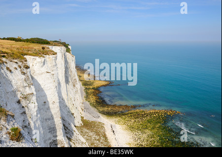 Vue sur les falaises blanches de Douvres, Kent, Angleterre, Royaume-Uni, Europe Banque D'Images