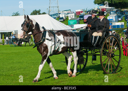 Cheval et un chariot roulant à salon de l'agriculture du comté de Westmorland Banque D'Images