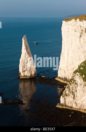 Les Pinnacles, Studland, à l'île de Purbeck, Dorset, Angleterre, Royaume-Uni, Europe Banque D'Images