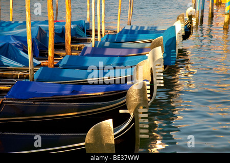 Gondoles alignées - tôt le matin sur le Grand Canal, Venise Vénétie Italie Banque D'Images