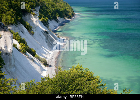 Moens Klint falaises de craie, Møn, Mons Klint, Moen, mer Baltique, Danemark, Scandinavie, Europe Banque D'Images